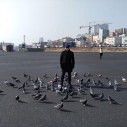  ,   , 36 ,   ,   , c , 