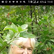  -,   , 70 ,   c , 