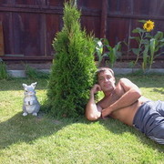  ,   , 52 ,   