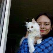 ���������� �����, ���� ������� Rada, 36 ���, ������������ ��� ����� � ���������, c�������� ���������