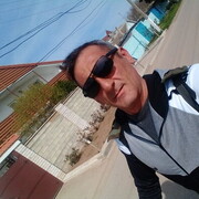  ,   , 41 ,   ,   , 