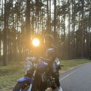 ���������� ������, ���� ������� �����, 35 ���, ������������ ��� ����� � ���������, c�������� ���������