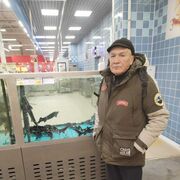  ,   , 53 ,   c , 