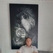 ���������� ����, ���� ������� ����, 54 ����, ������������ ��� ����� � ���������, c�������� ���������