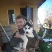 ���������� �����, ���� ������� �������, 49 ���, ������������ ��� c�������� ���������