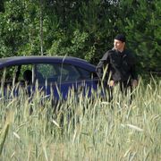 ���������� �����, ���� ������� ������, 37 ���, ������������ ��� ������, ����� � ���������