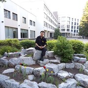 ���������� �����������, ���� ������� ������, 31 ���, ������������ ��� ������, ����� � ���������