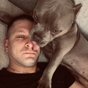 ���������� ������, ���� ������� ������, 38 ���, ������������ ��� ������, ����� � ���������, c�������� ���������