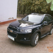 ���������� �����������, ���� ������� ��������, 37 ���, ������������ 