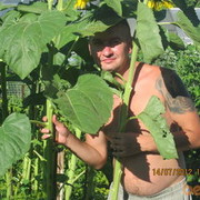 ���������� ������ ��������, ���� ������� ����, 44 ����, ������������ ��� ������