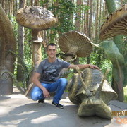 ���������� ������, ���� ������� �������, 50 ���, ������������ ��� ������