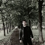 ���������� �������, ���� ������� Alan, 31 ���, ������������ ��� ������, ����� � ���������, c�������� ���������, ���������