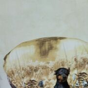 ���������� ������ ��������, ���� ������� ������, 53 ����, ������������ ��� ������, ����� � ���������