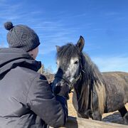 ���������� �����, ���� ������� ���������, 31 ���, ������������ ��� ������, ����� � ���������, c�������� ���������