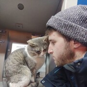 ���������� �����������, ���� ������� �������, 29 ���, ������������ ��� ������, ����� � ���������, c�������� ���������