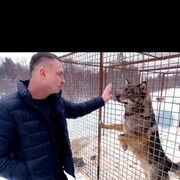 ���������� ������������, ���� ������� ����, 38 ���, ������������ ��� ����� � ���������, c�������� ���������