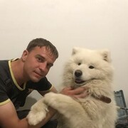 ���������� ���������, ���� ������� �������, 40 ���, ������������ ��� c�������� ���������