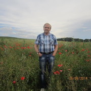 ���������� ���������, ������� ����, 74