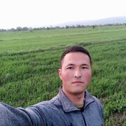 ���������� ������, ���� ������� ��������, 29 ���, ������������ ��� ������, ����� � ���������, c�������� ���������