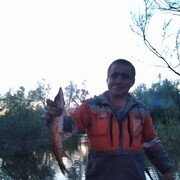  ,   , 44 ,  