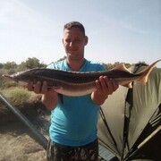 ���������� ���������, ���� ������� ������, 39 ���, ������������ ��� ������, ����� � ���������, c�������� ���������