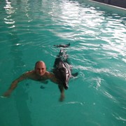 ���������� ������ ���, ���� ������� ������, 51 ���, ������������ ��� ������, ����� � ���������, c�������� ���������, ���������