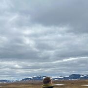 ���������� ������������, ���� ����� �������, 24 ����, ������������ ��� ������, ����� � ���������