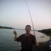 ���������� ������-�������, ������� ���������, 50