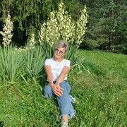  ,   , 53 ,     , c 