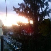  ,   Eduardas, 85 ,   ,   , c 