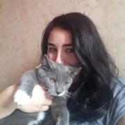  -,   , 31 ,   ,   