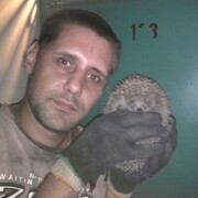  ,   , 39 ,     , c , 