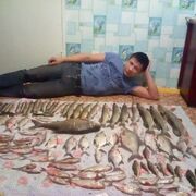  ,   Vladimir, 32 ,   ,   