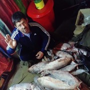  ,   , 61 ,  