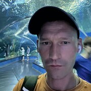 ���������� �����������, ���� ������� ������, 38 ���, ������������ ��� ����� � ���������, c�������� ���������, ���������