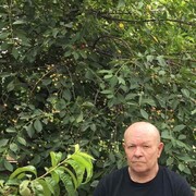  ,   , 65 ,   ,   , c 