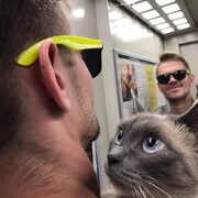 ���������� �����, ���� ������� ������, 30 ���, ������������ ��� ������, ����� � ���������