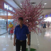  --,   , 55 ,   ,   
