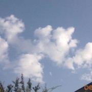 ���������� ������, ���� ������� Ali, 30 ���, ������������ ��� ������