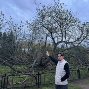 ���������� ������, ���� ����� ������, 25 ���, ������������ ��� ������, ����� � ���������