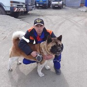 ���������� �����������, ���� ������� ����, 52 ����, ������������ ��� ������, ����� � ���������