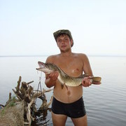 ���������� �����, ���� ������� ����, 37 ���, ������������ ��� ����� � ���������, c�������� ���������