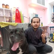  ,   , 24 ,   ,   , c 
