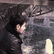 ���������� ����, ���� ������� ������, 39 ���, ������������ ��� ������