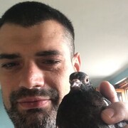 ���������� �����������, ���� ������� ��������, 37 ���, ������������ ��� ������, ����� � ���������