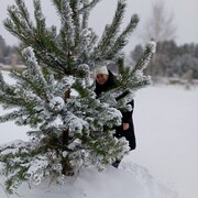 ���������� ���������, ���� ������� ������, 58 ���, ������������ ��� ������, ����� � ���������, ���������