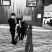 ���������� �������, ���� ������� �����, 32 ����, ������������ ��� ������, ����� � ���������, c�������� ���������, ���������