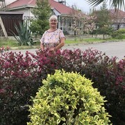  ,   , 56 ,   ,   