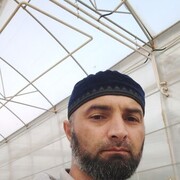  ,   , 41 ,   ,   