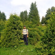  ,   , 41 ,   ,   